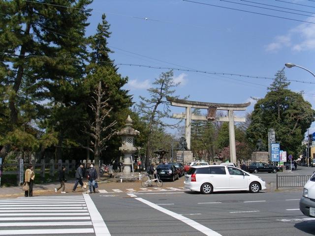 SNV11227.jpg